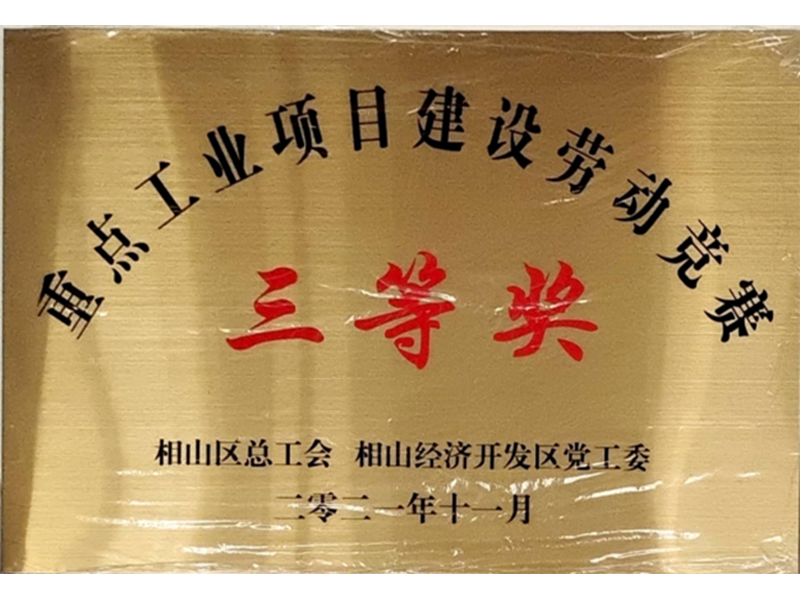重点工业项目建设劳动竞赛三等奖
